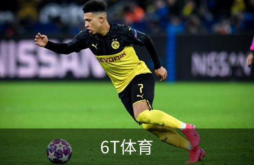 走进6T体育